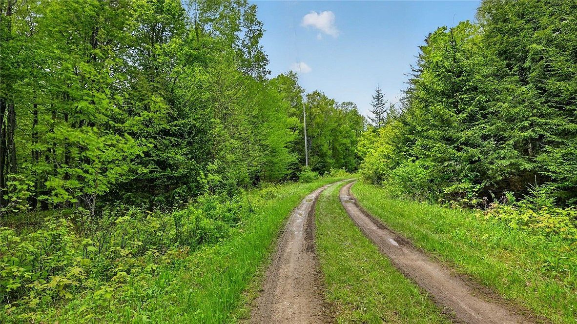 L16 Crystal Brook Path Jefferson, NY 12093 - Thumbnail 5