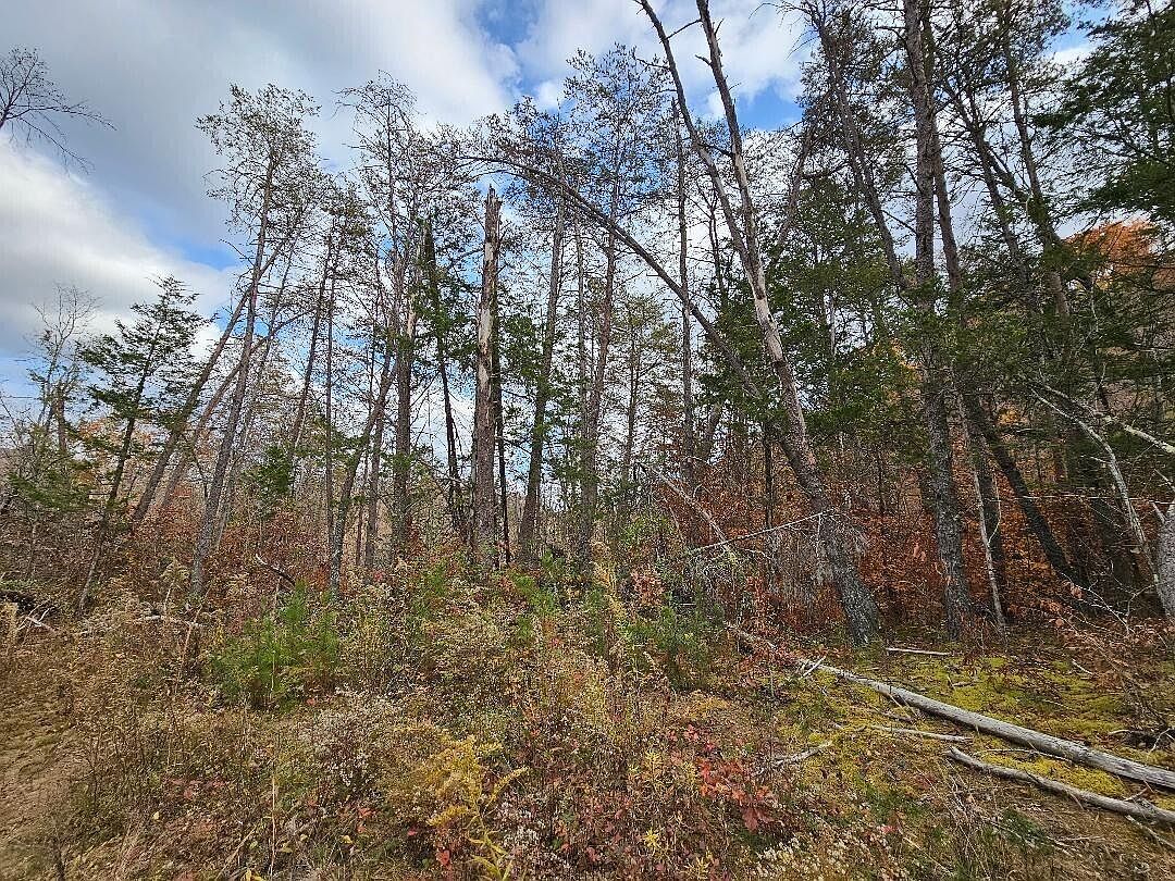 84AC Tiny Homes Ln Thorn Hill, TN 37881 - Thumbnail 5