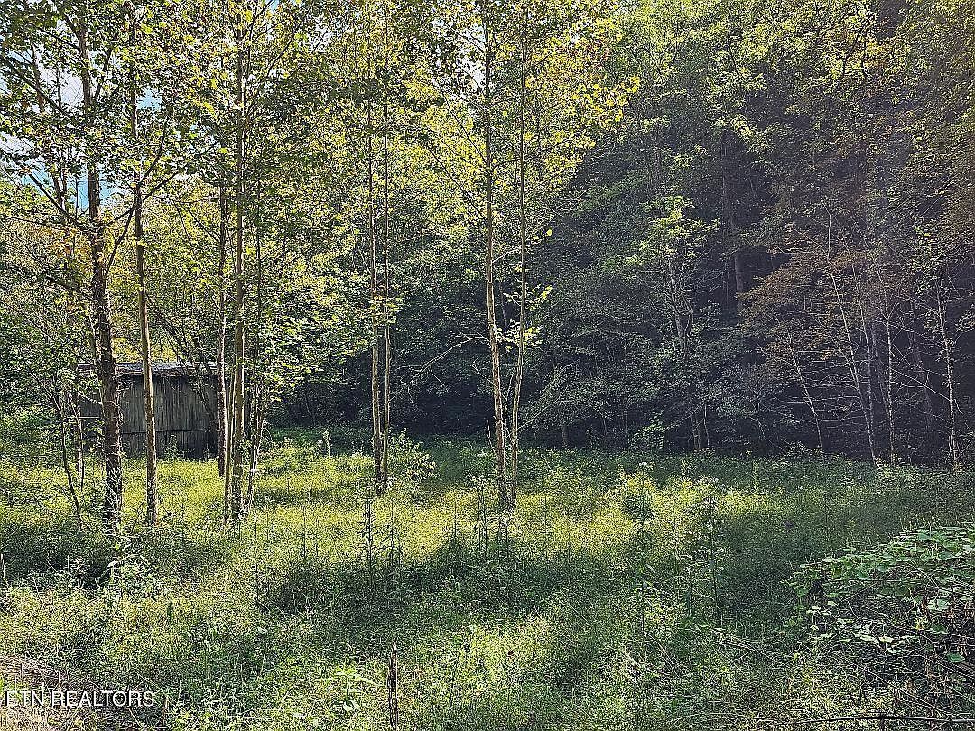 118AC Mill Hollow Rd Tazewell, TN 37879 - Thumbnail 5