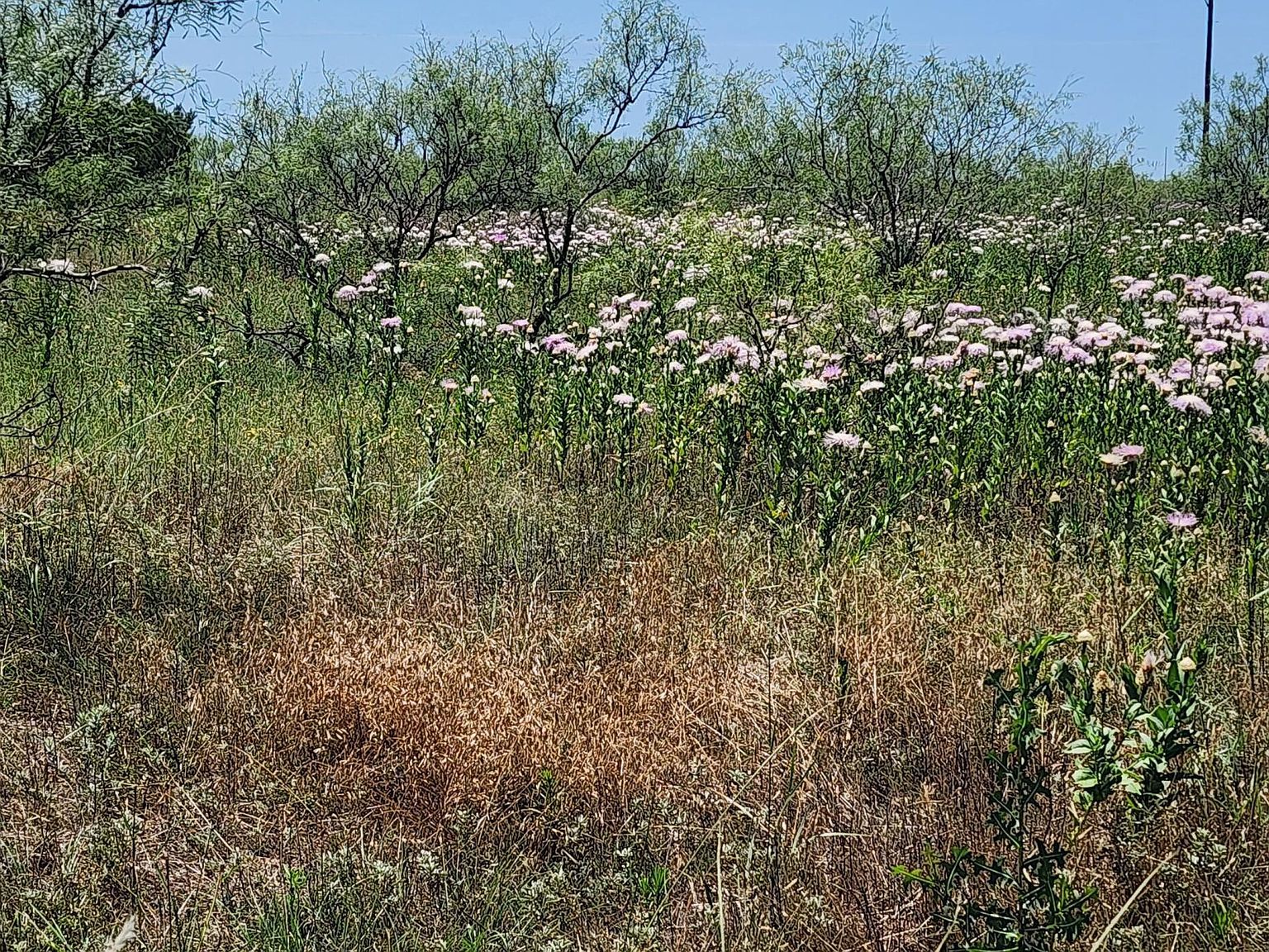 319 Prairie Point Canyon, TX 79015 - Thumbnail 5