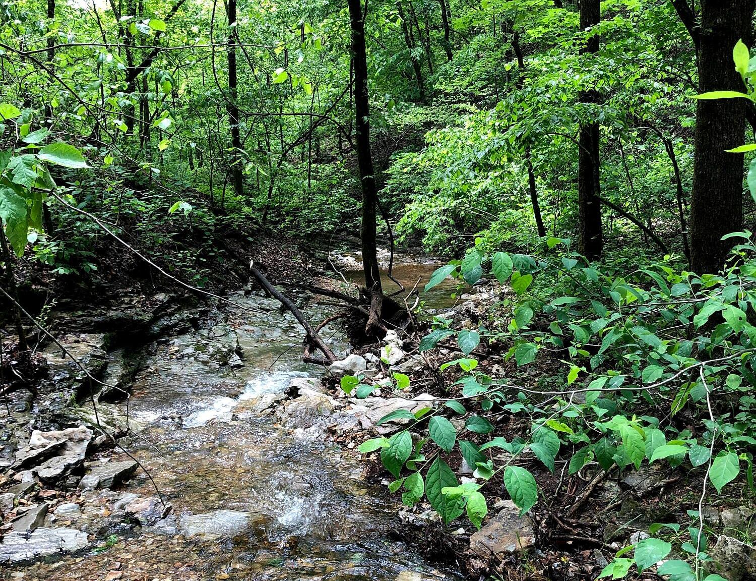 0 Coyote Ridge Rd Cassville, MO 65625 - Thumbnail 5