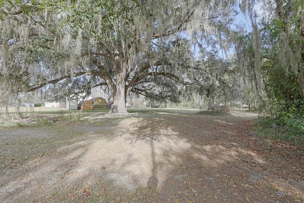 SW County Road 791 LOT 14 Lake Butler, FL 32054 - Thumbnail 5