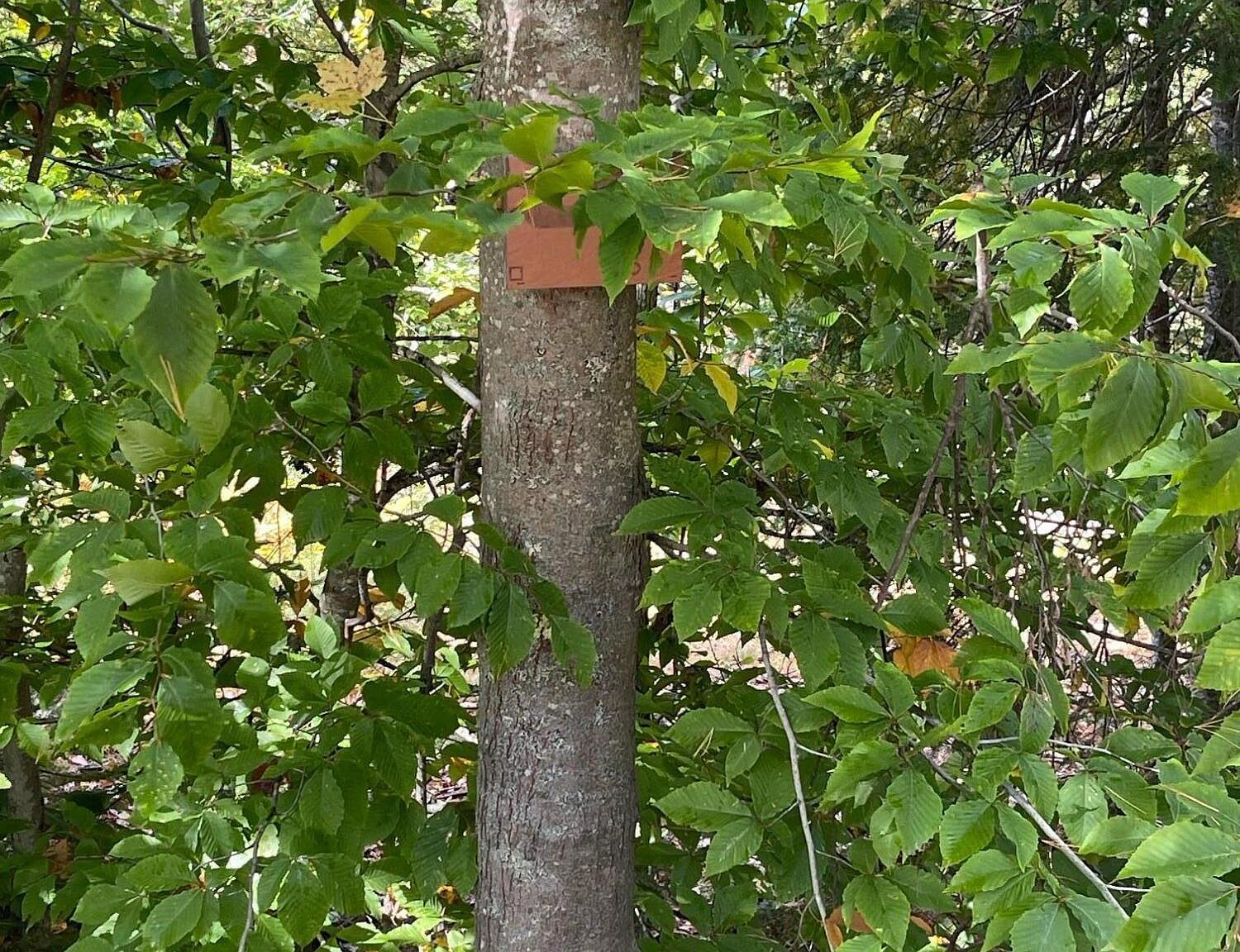 7 Naples Rd Harrison, ME 04040 - Thumbnail 5