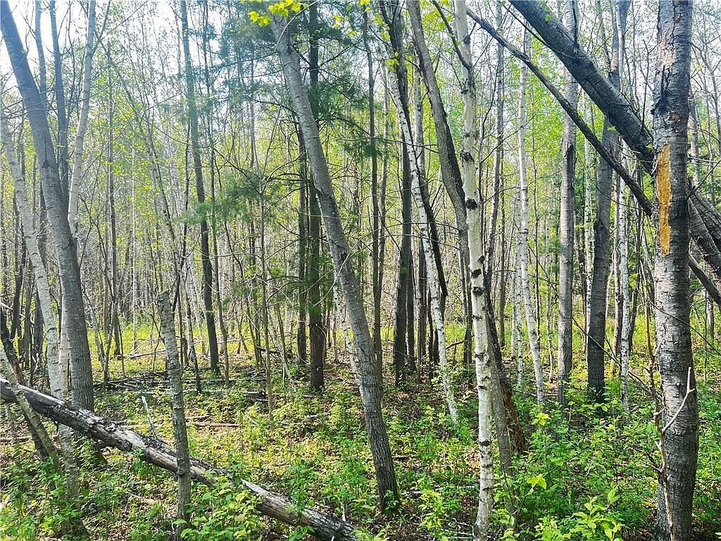 LOT 12 25 1/2 St Chetek, WI 54728 - Thumbnail 5