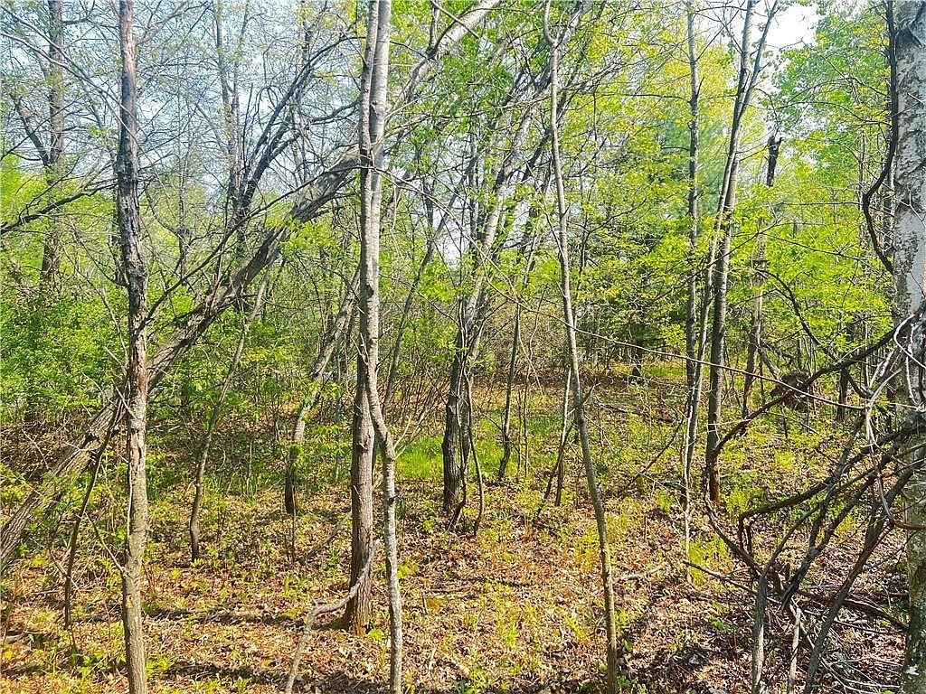 LOT 9 26th St Chetek, WI 54728 - Thumbnail 5