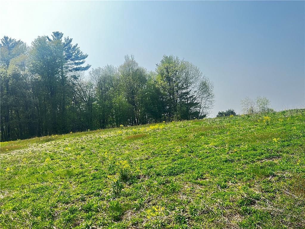 LOT 1 26th St Chetek, WI 54728 - Thumbnail 5