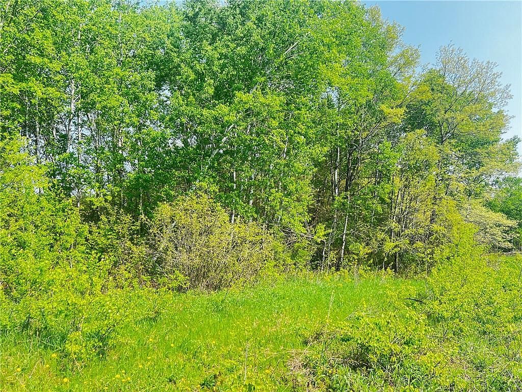 LOT 6 26th St Chetek, WI 54728 - Thumbnail 5