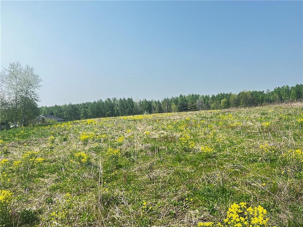 LOT 2 26th St Chetek, WI 54728 - Thumbnail 5
