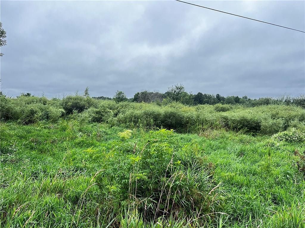 Lots 20 & 21 250th St Cadott, WI 54727 - Thumbnail 5