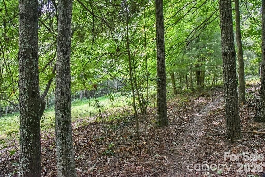 19 Laurel Loop Rd Fairview, NC 28730 - Thumbnail 5