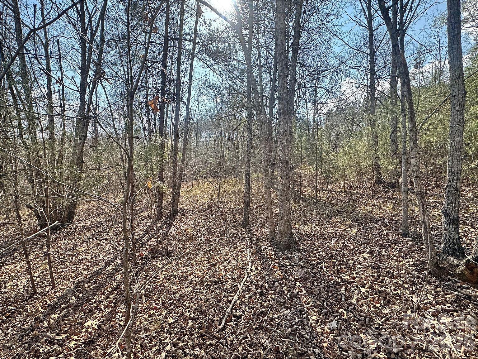 Amberwood Pl #17 Rutherfordton, NC 28139 - Thumbnail 5