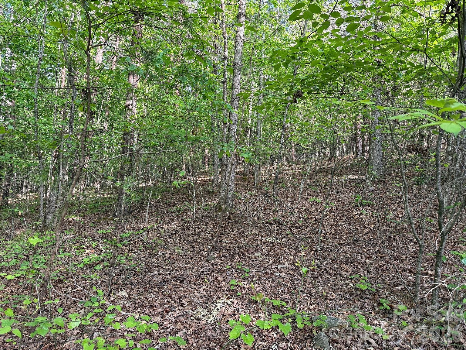 0 Shenandoah Dr #3B Spindale, NC 28160 - Thumbnail 5