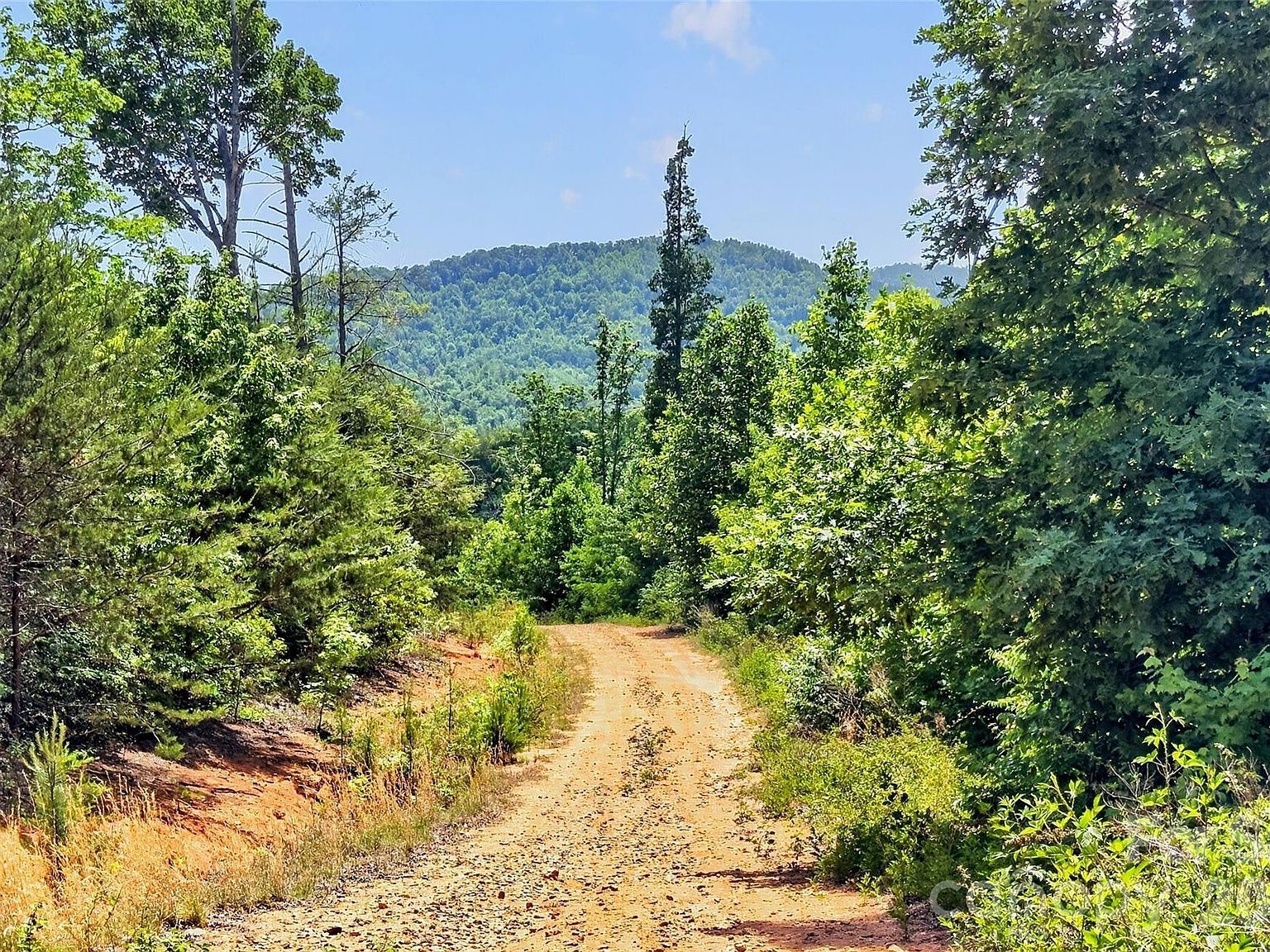 272 Randolph Dr Marion, NC 28752 - Thumbnail 5