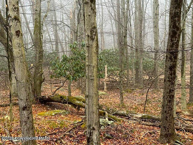 Lookout Point Rd Lot 91 Canadensis, PA 18325 - Thumbnail 5