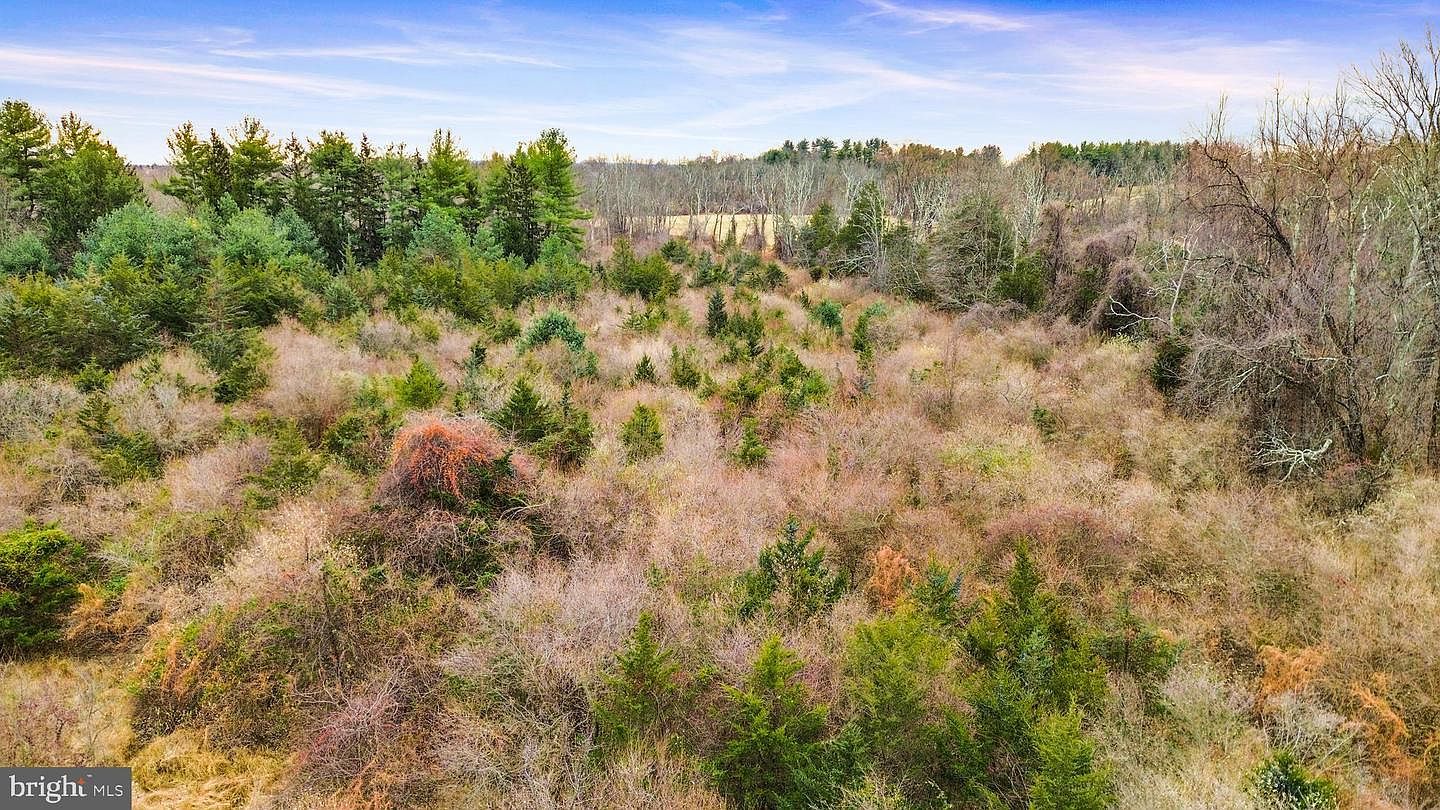 11 Springtown Flemington, NJ 08822 - Thumbnail 5