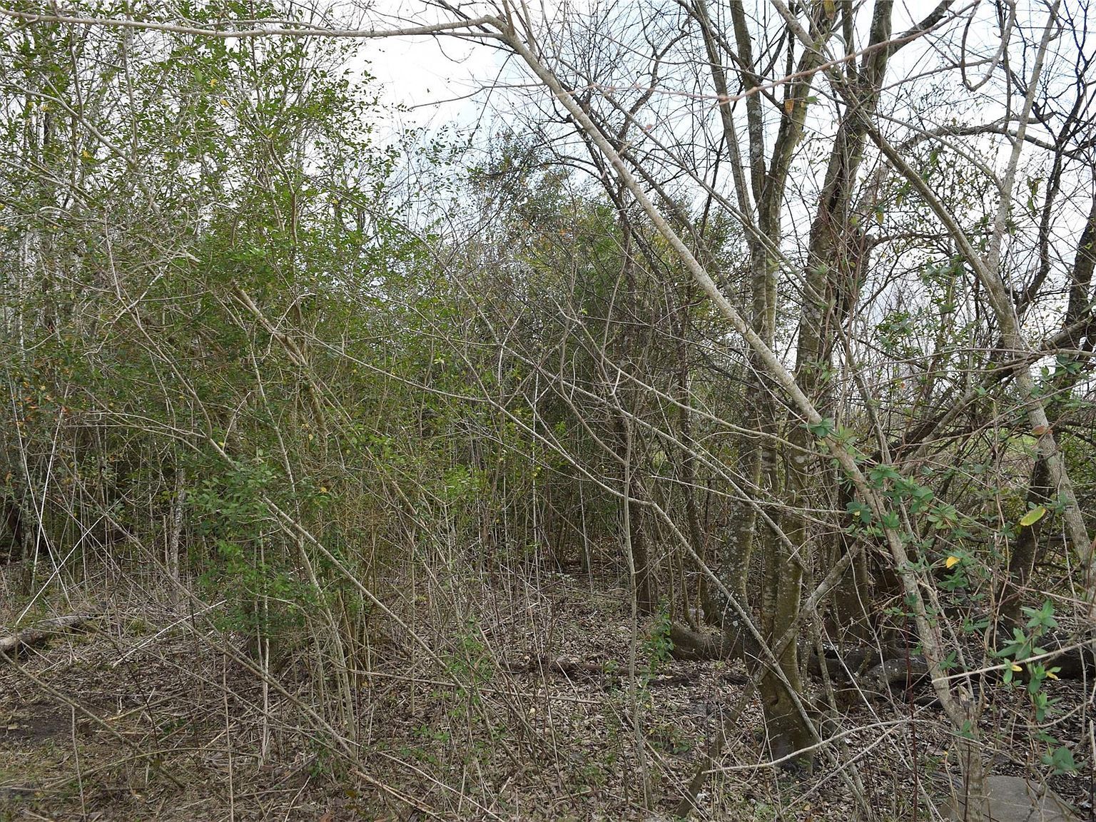 0 Herridge Rd #827-lot 28 Pearland, TX 77584 - Thumbnail 5