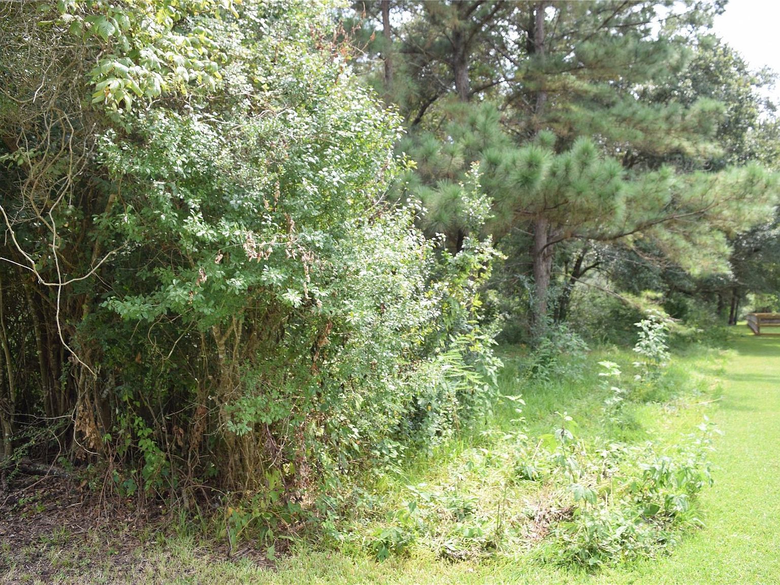 0 Belcher Rd #397-lot 20E Manvel, TX 77578 - Thumbnail 5