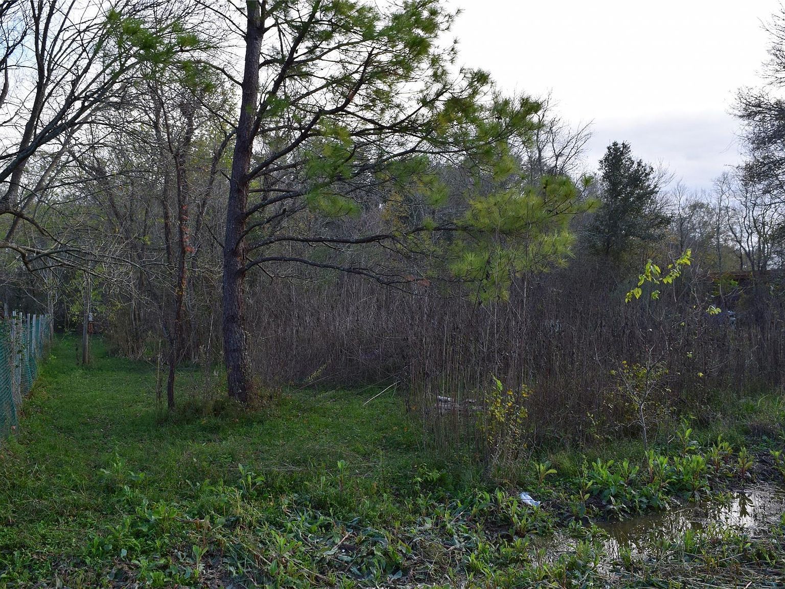 9721 County Road 544c Lot 32 Manvel, TX 77578 - Thumbnail 5