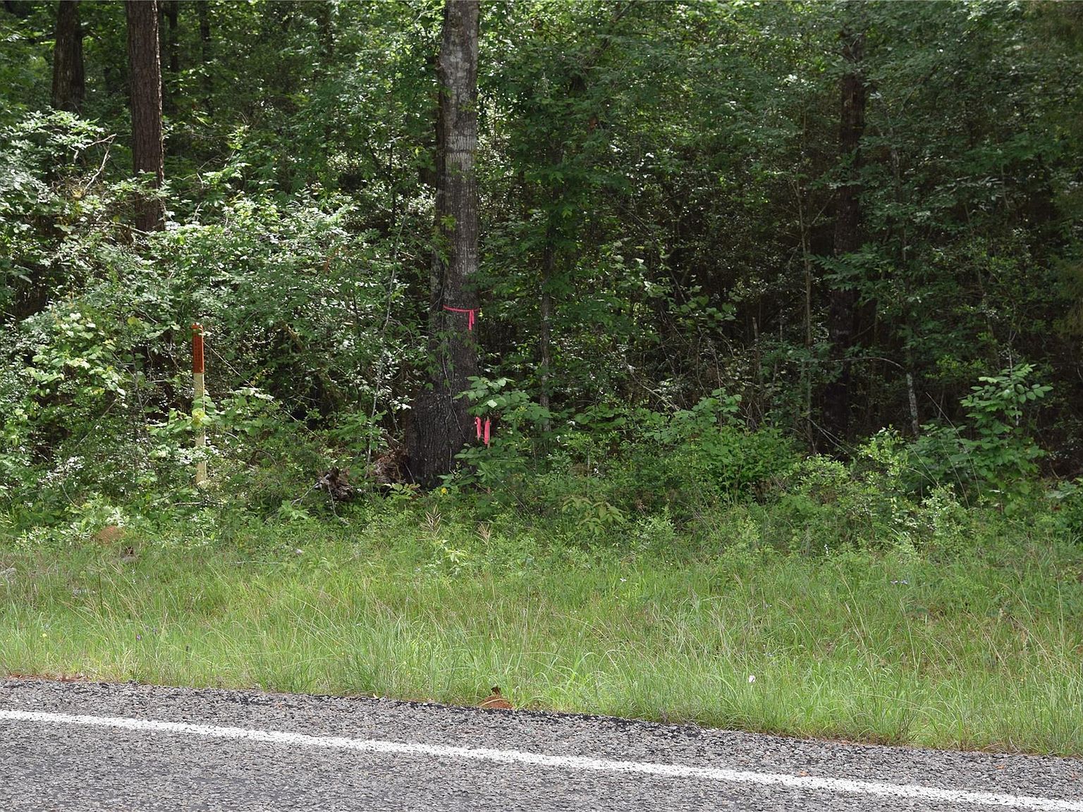 0 Fm 2665 Goodrich, TX 77335 - Thumbnail 5