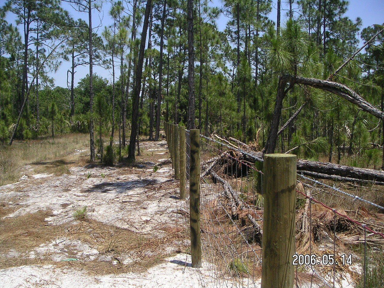 0 County Road 512 Fellsmere, FL 32948 - Thumbnail 5