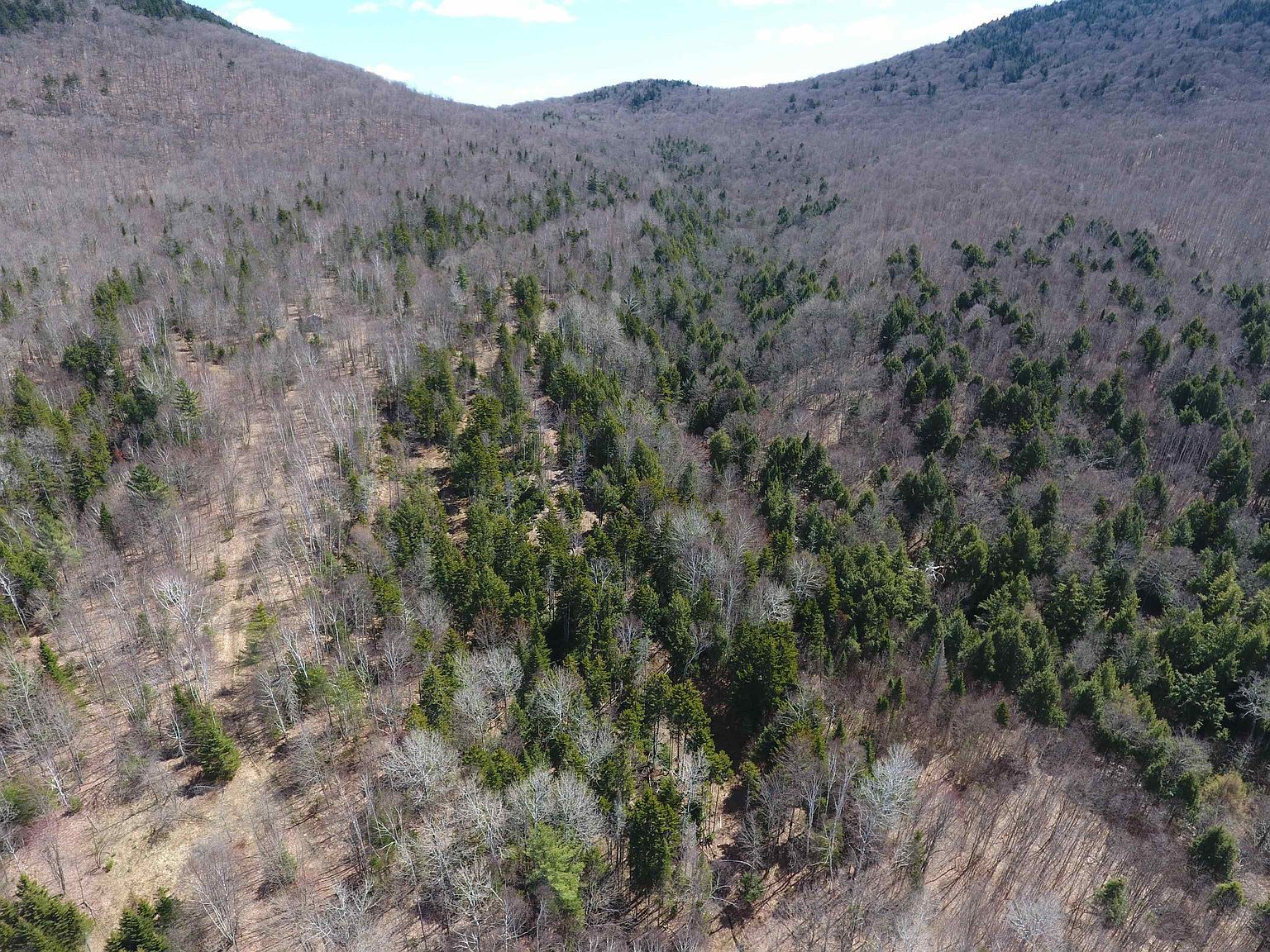 Bennett Rd East Burke, VT 05832 - Thumbnail 5