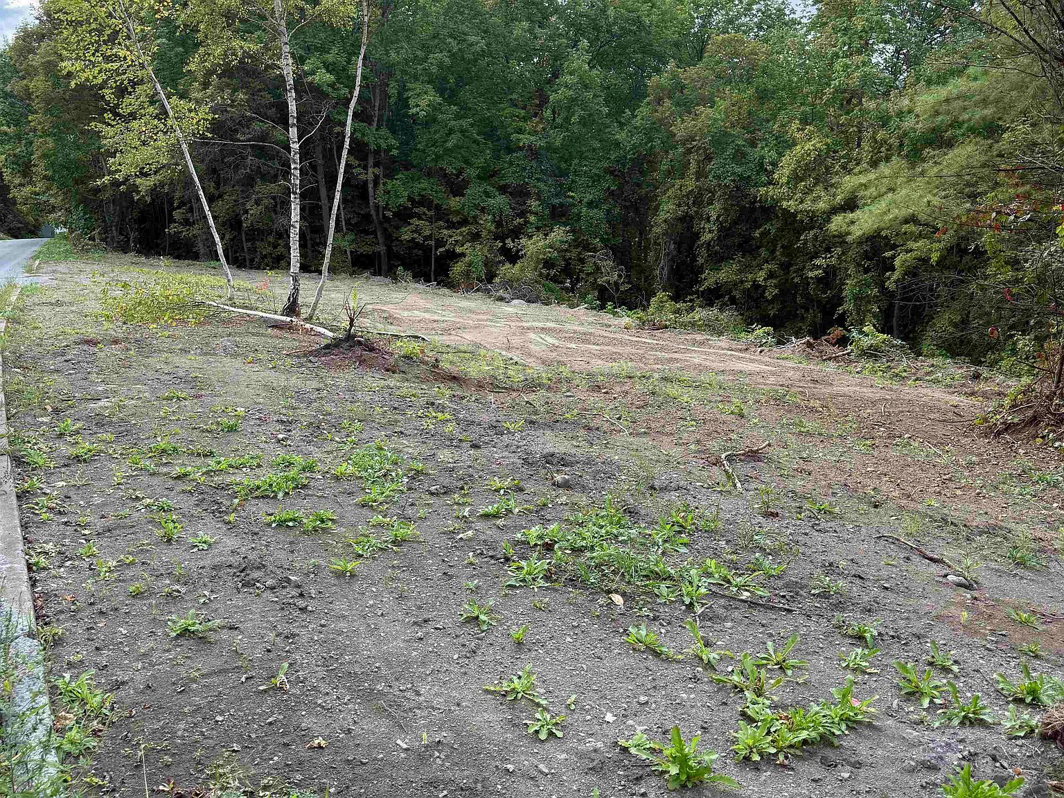 0 Lafayette St Saint Johnsbury, VT 05819 - Thumbnail 5