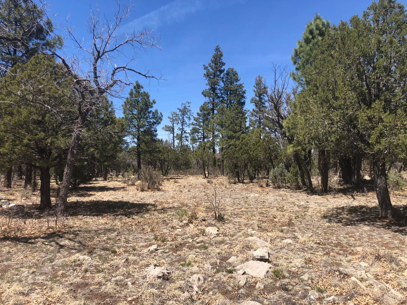 4024 Durango Drive, Happy Jack, AZ, USA, Happy Jack, AZ, 86024 - Thumbnail 5