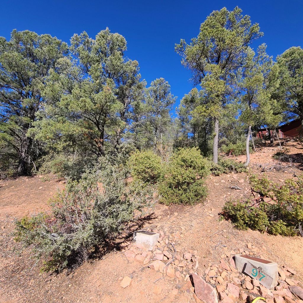 1904 East Rainbow Trail, Payson, AZ 85541, USA - Thumbnail 5