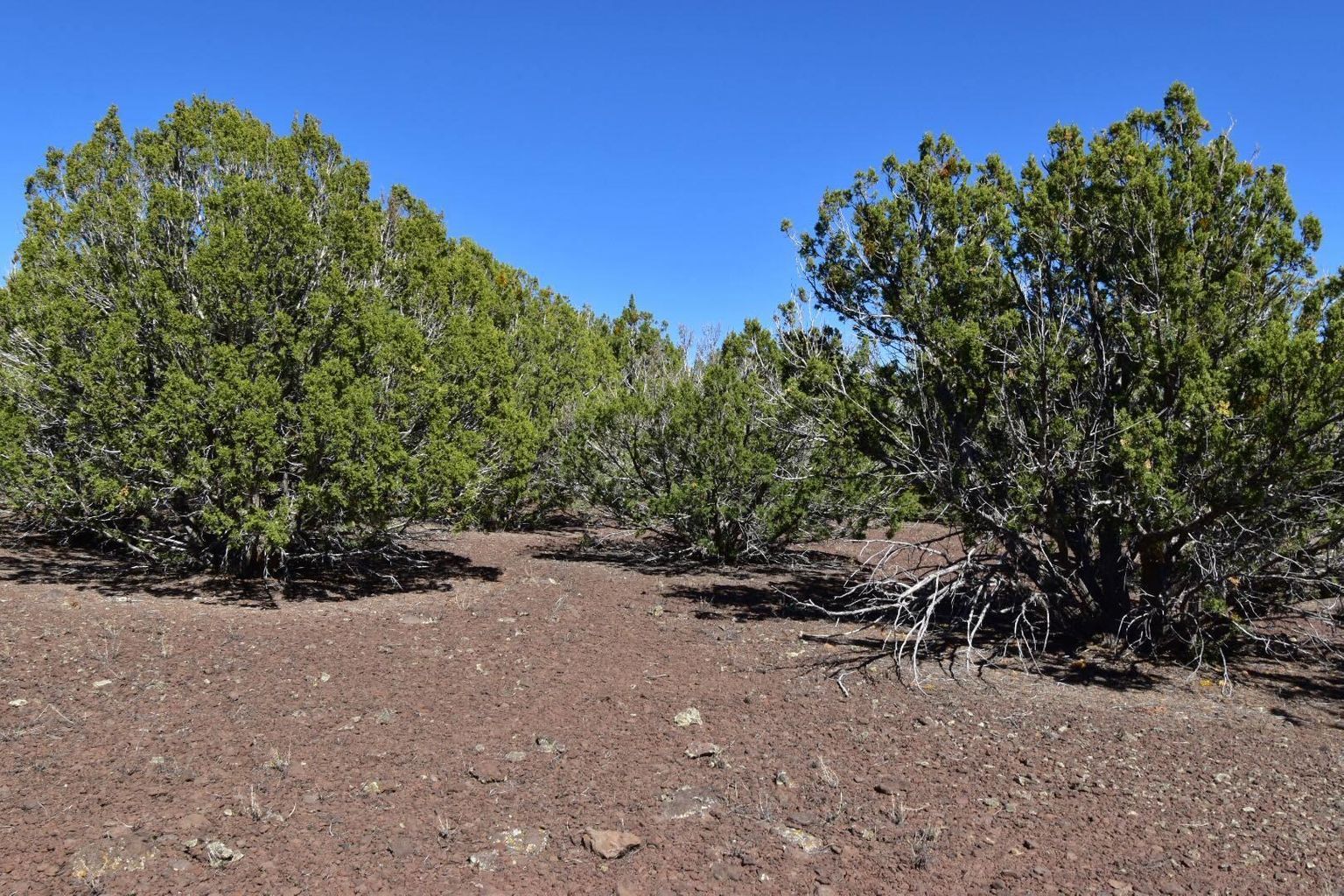 46 County Road 8140, Vernon, AZ 85940, USA - Thumbnail 5