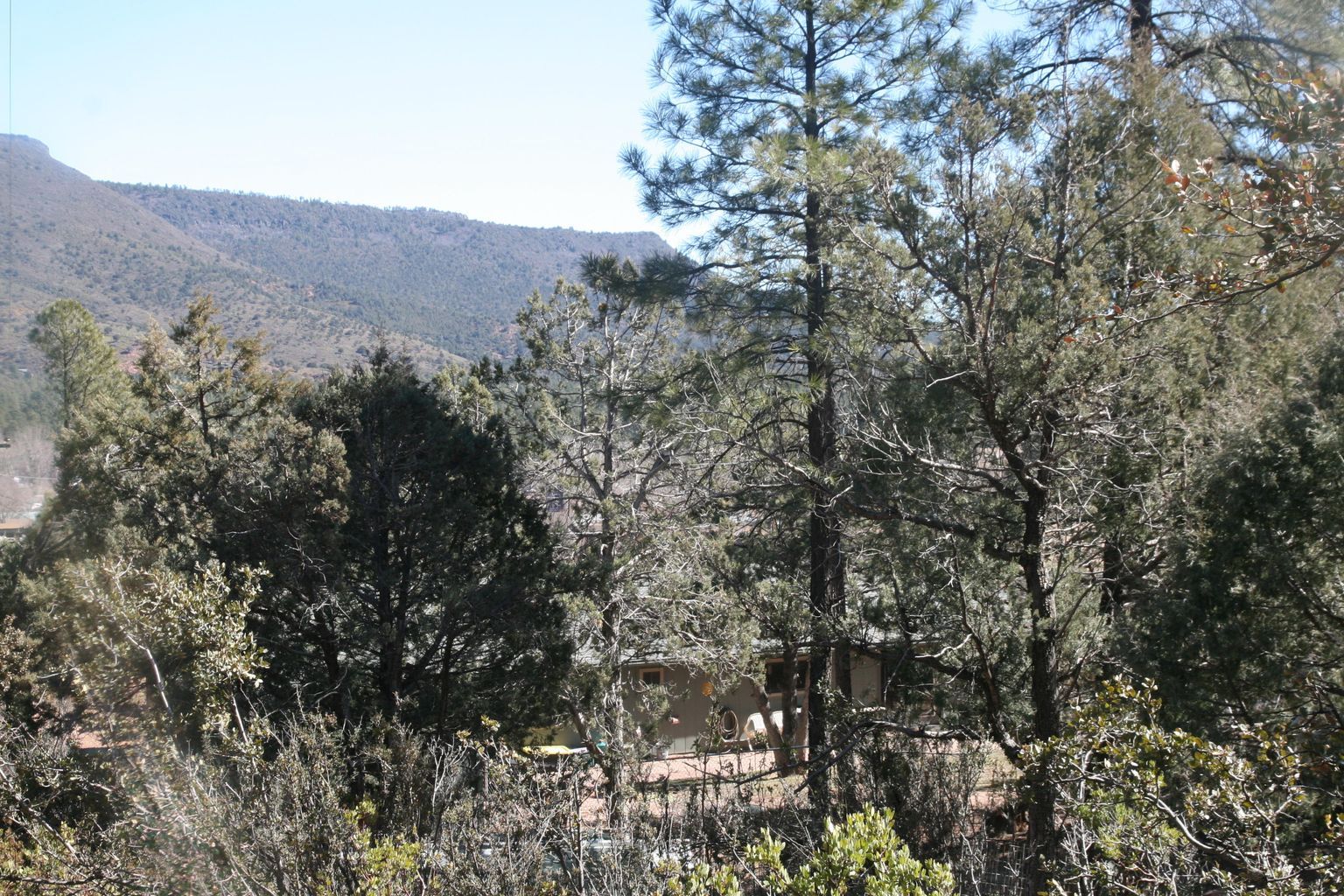 3810 N Anvil Road, Pine, AZ 85544 - Thumbnail 5