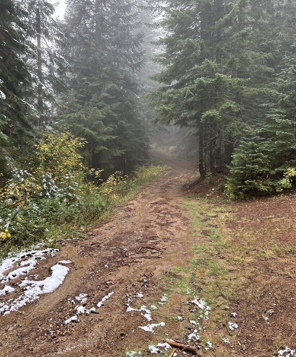 0 Calapooia Rd Sweet Home, OR 97386 - Thumbnail 5