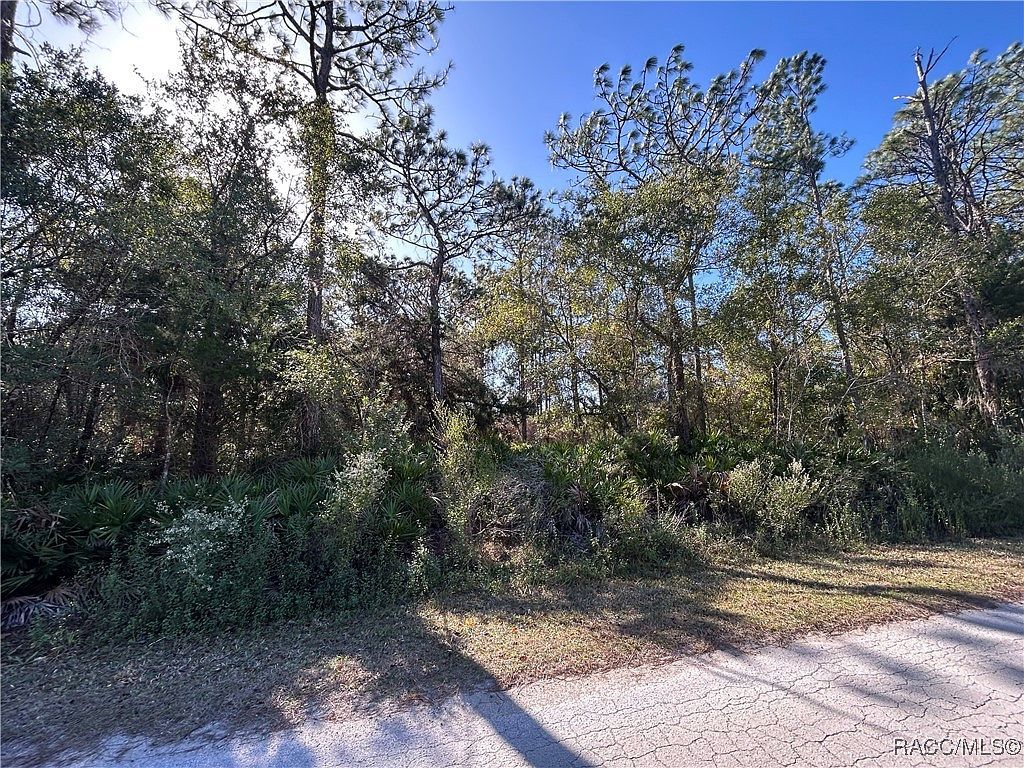 1172 N Lorri Ter Crystal River, FL 34429  | Land/Lot