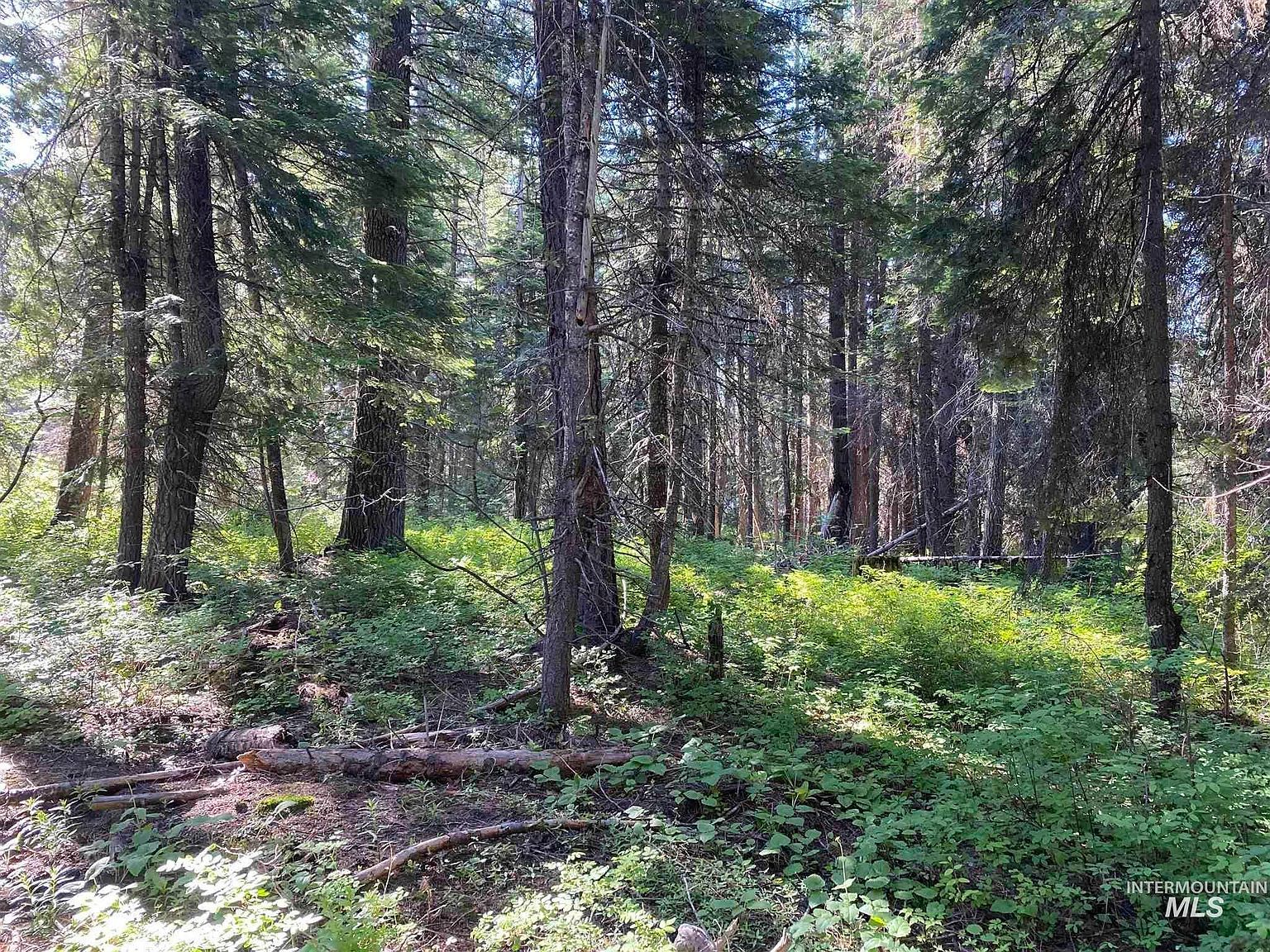 1790 Lake Trail Dr, Donnelly, ID, 83615 - Thumbnail 5