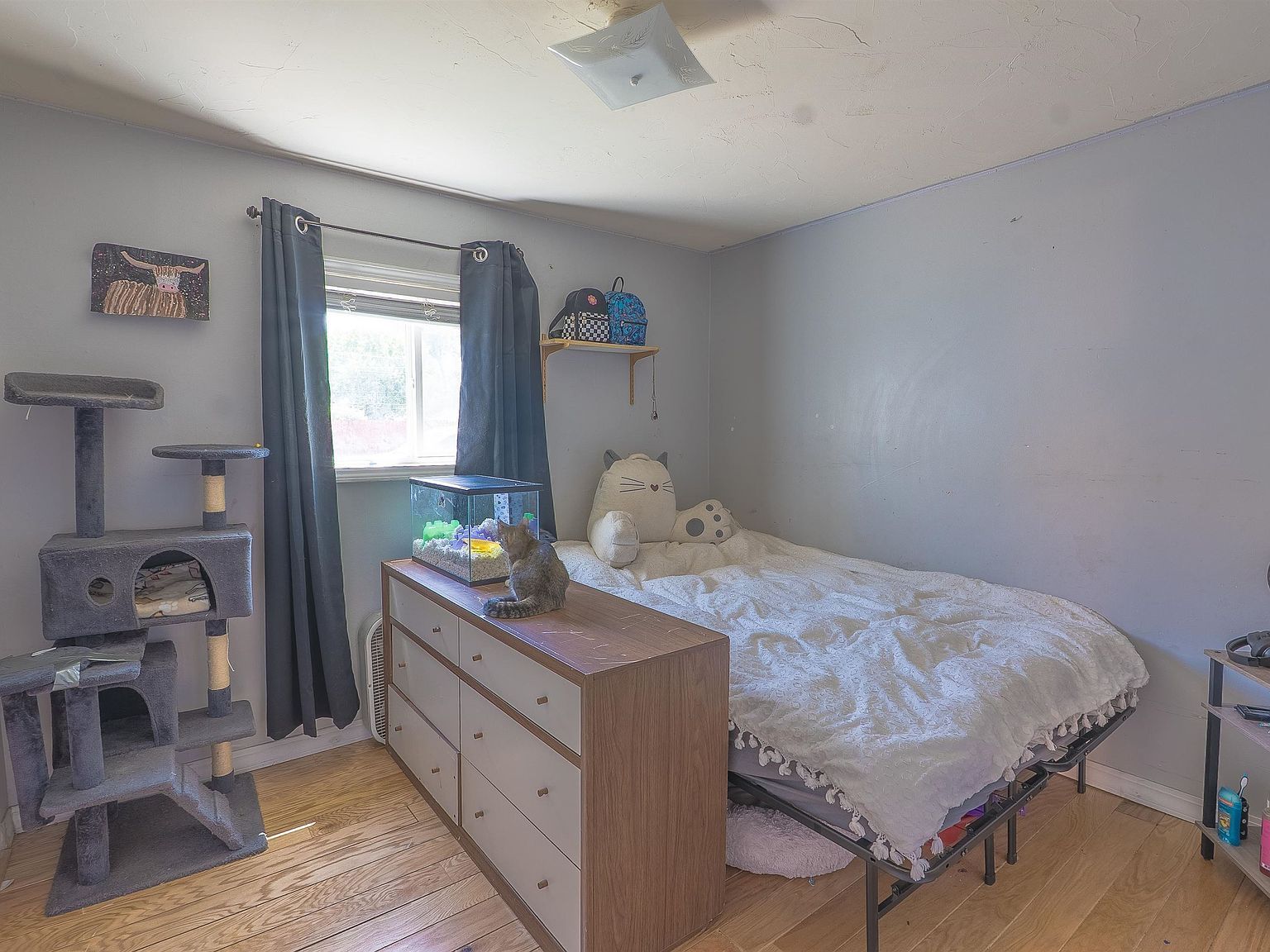 304 Lincoln St American Falls, ID 83211 - Thumbnail 5