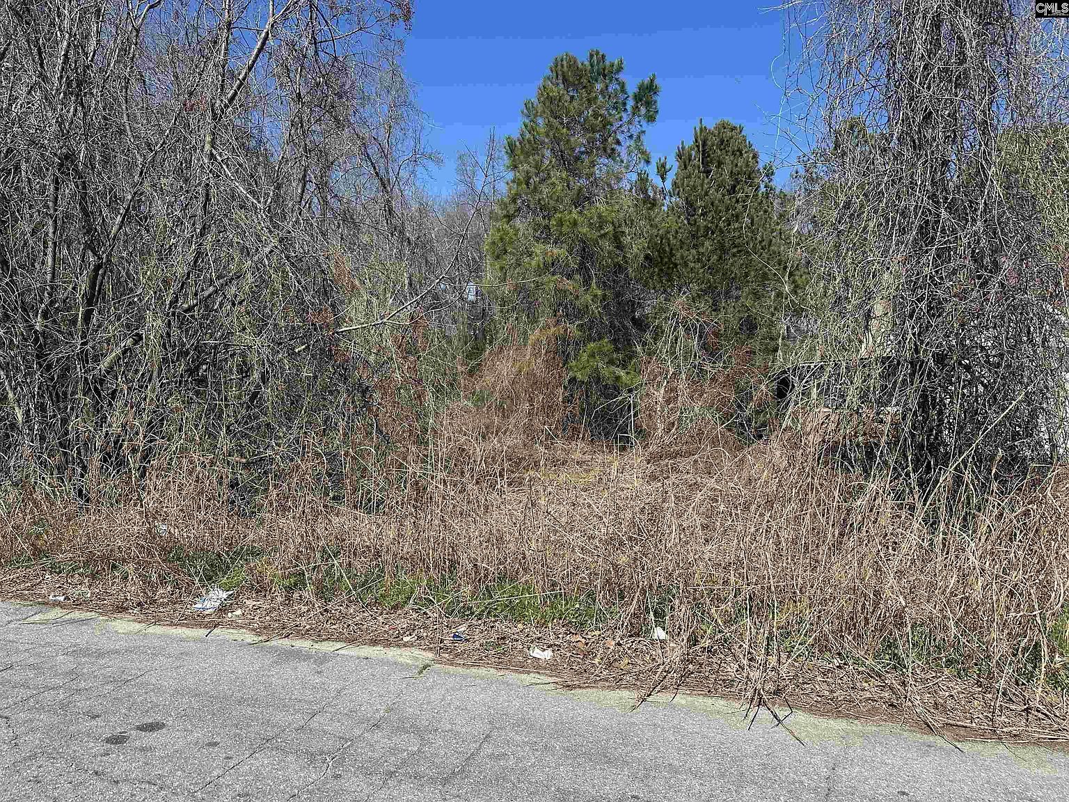 97 Charmont Dr Columbia, SC 29223 - Thumbnail 5