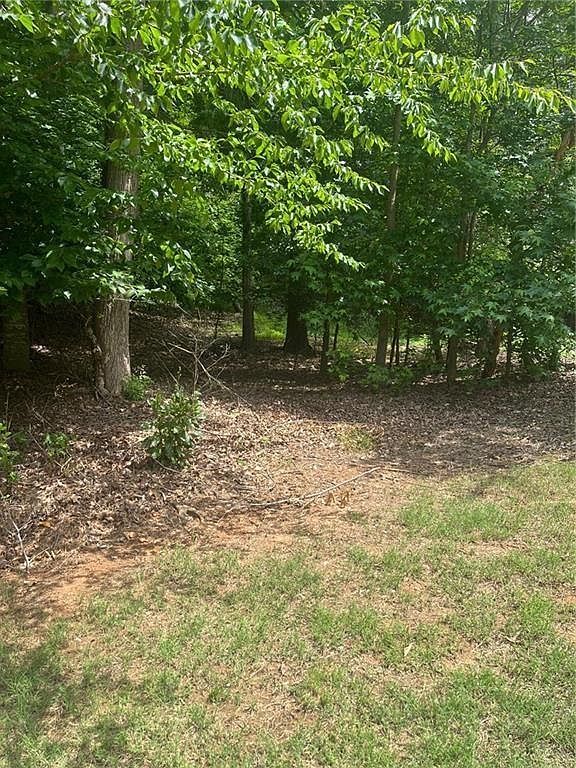 1894 Point River Dr Lot 430 Duluth, GA 30097 - Thumbnail 5