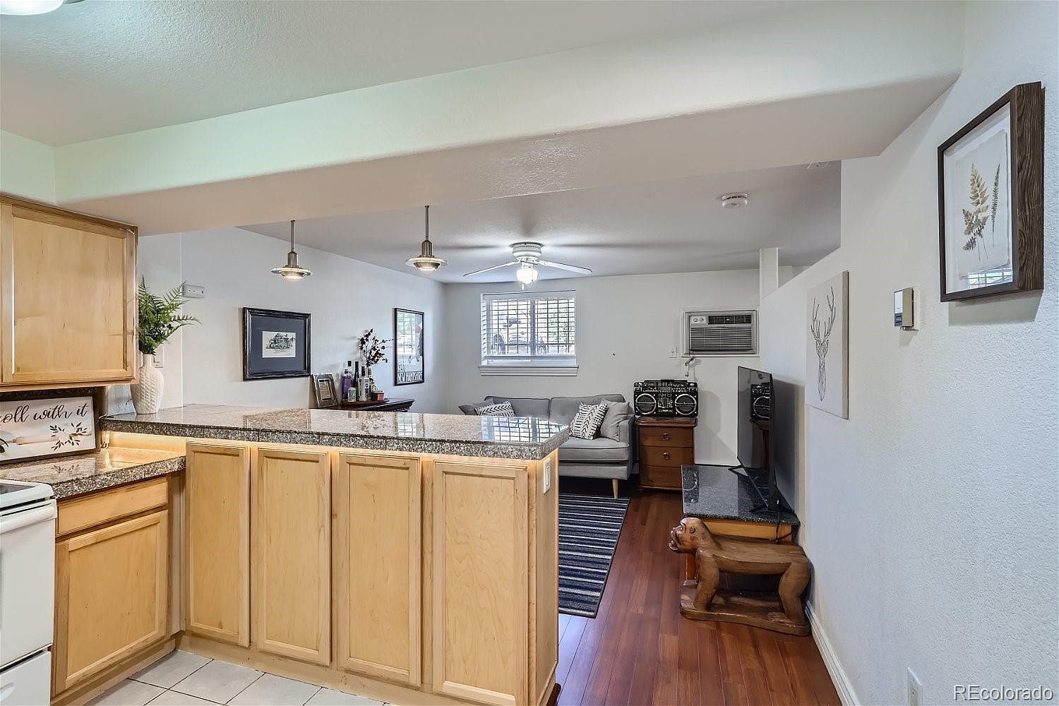 1833 N Williams St APT 101 Denver, CO 80218 - Thumbnail 5