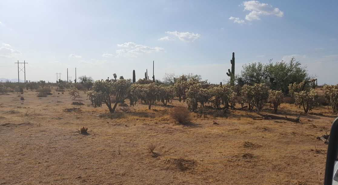 0 N N Bluegrass ST, Florence, AZ, 85132 - Thumbnail 5