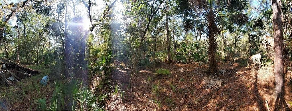 8738 Lindy Ln #2 New Pt Richey, FL 34655 - Thumbnail 5