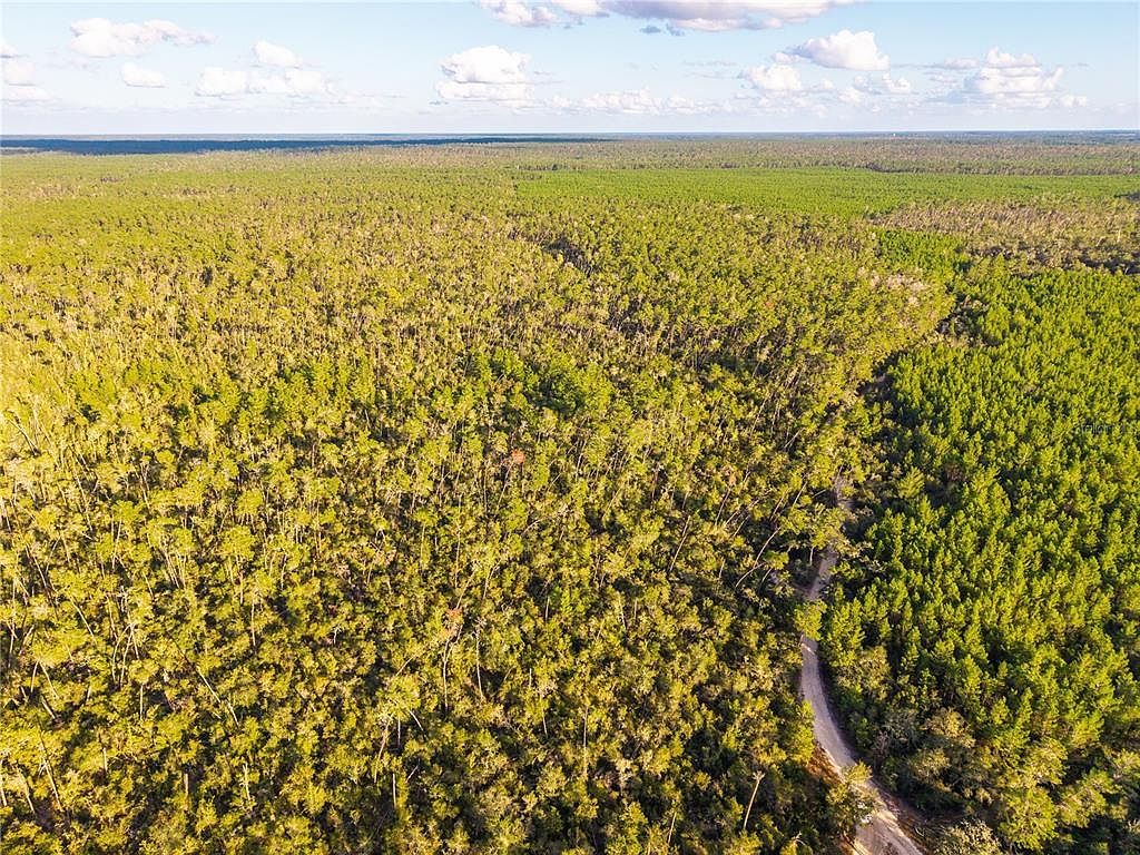 Nicatoon Retreat Umatilla, FL 32784 - Thumbnail 5