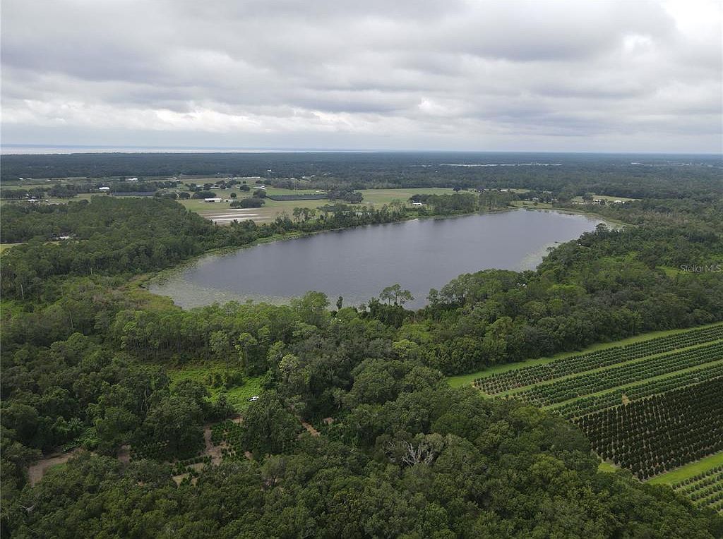 Turkey Shoot Rd LOT 16 Pierson, FL 32180 - Thumbnail 5