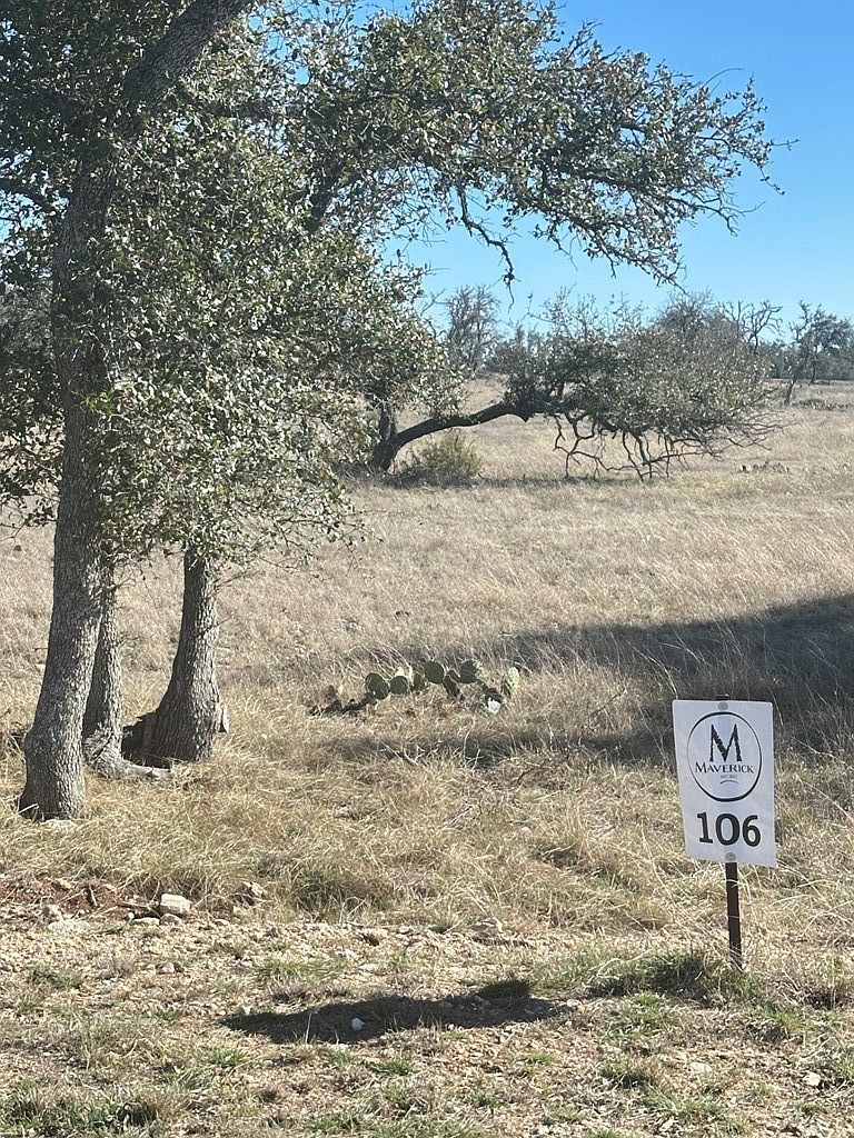 106 Oryx View Dr Harper, TX 78631 - Thumbnail 5