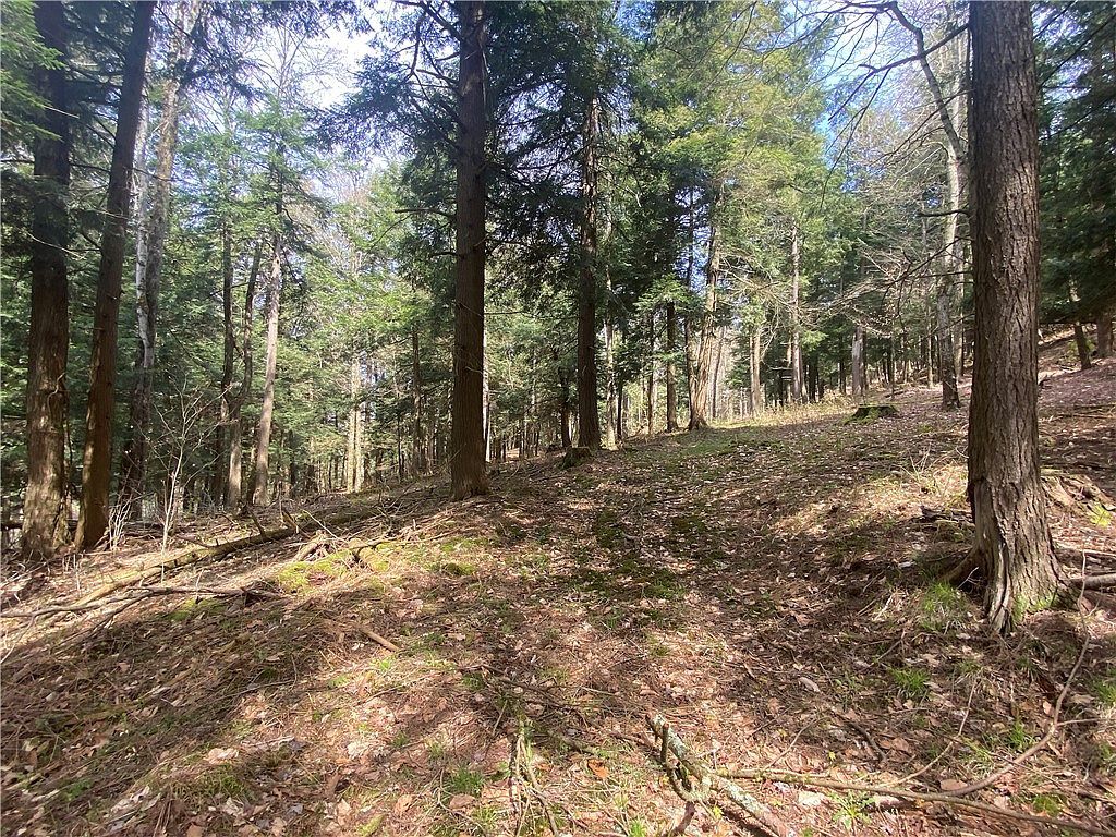 LOT A Piermott Ln #45 Hartwick, NY 13348 - Thumbnail 5