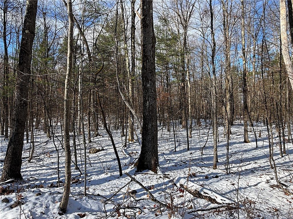 Stanley Roseboom Rd Schenevus, NY 12155 - Thumbnail 5