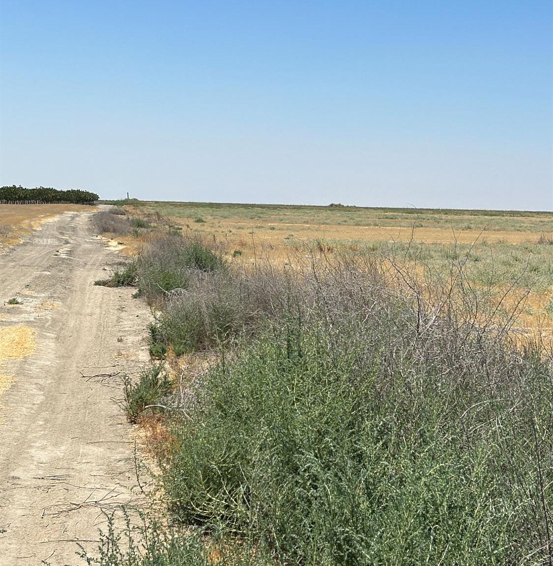 0 Avenue 56 #2 Alpaugh, CA 93201 - Thumbnail 5