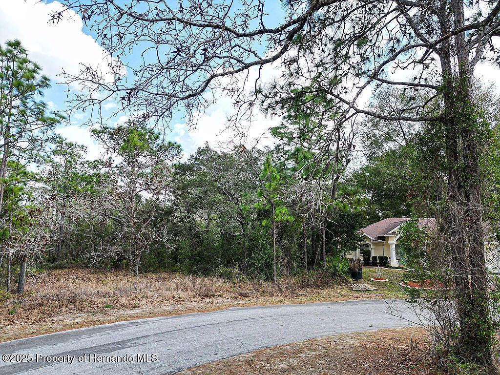 32 Speceberry Cir Homosassa, FL 34446 - Thumbnail 5