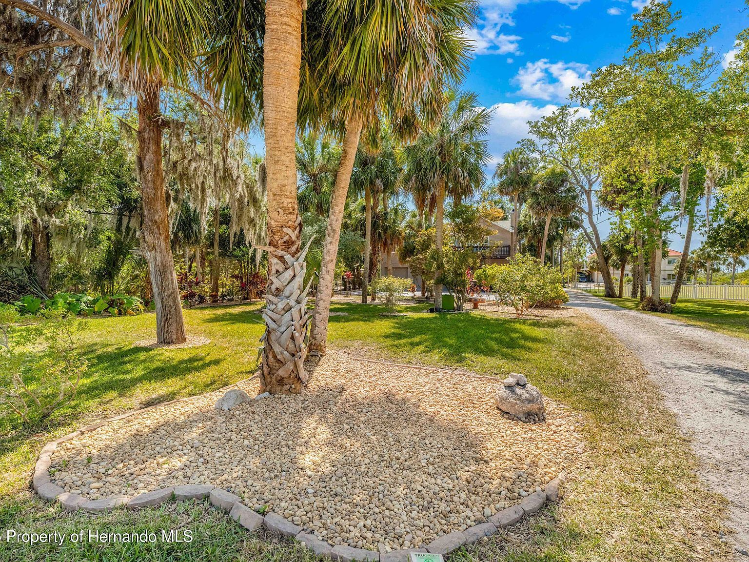 8711 Betty St Port Richey, FL 34668 - Thumbnail 5