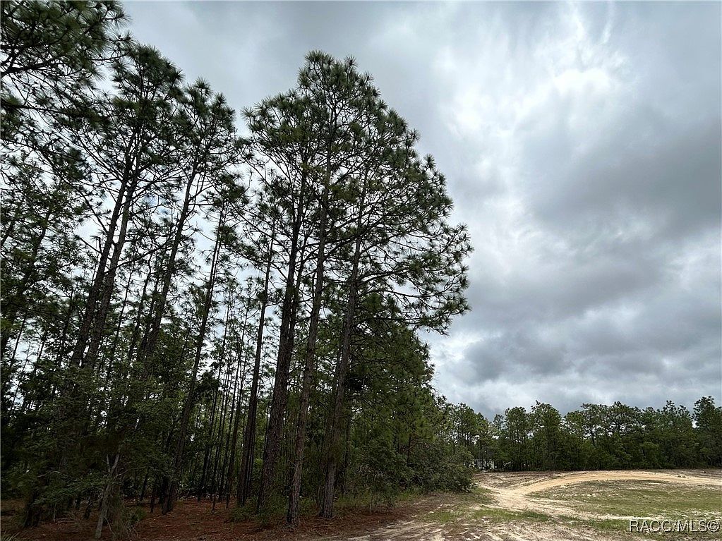 0 Mellon Rd Brooksville, FL 34614 - Thumbnail 5