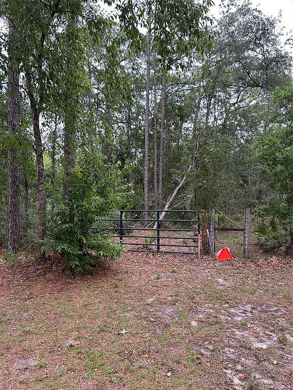 S Slash Pine Ave LOT 4 Homosassa, FL 34446  | Land/Lot