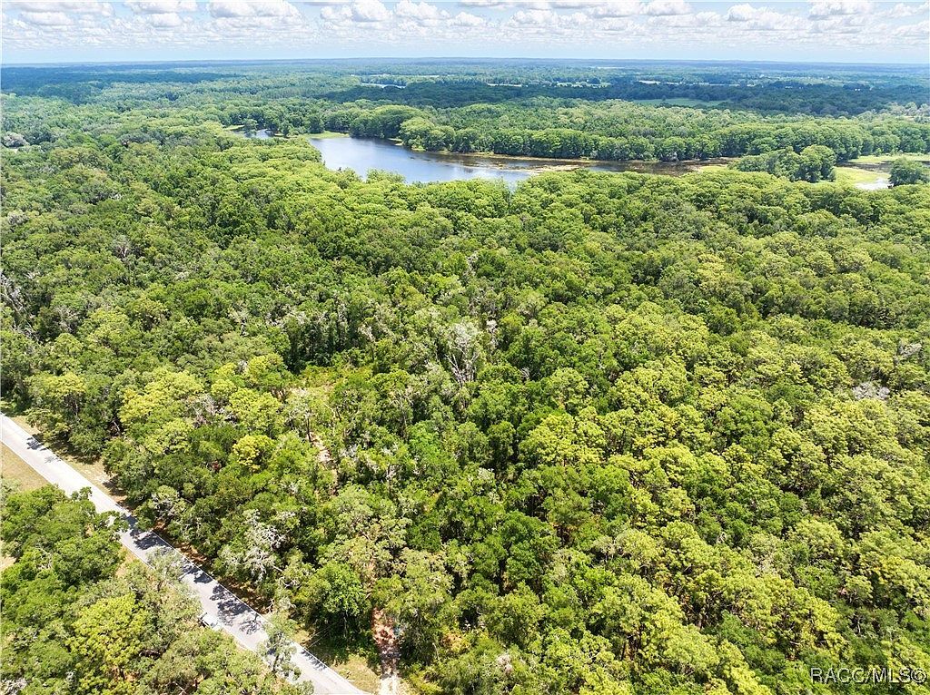 0 Lingle Rd Brooksville, FL 34601 - Thumbnail 5